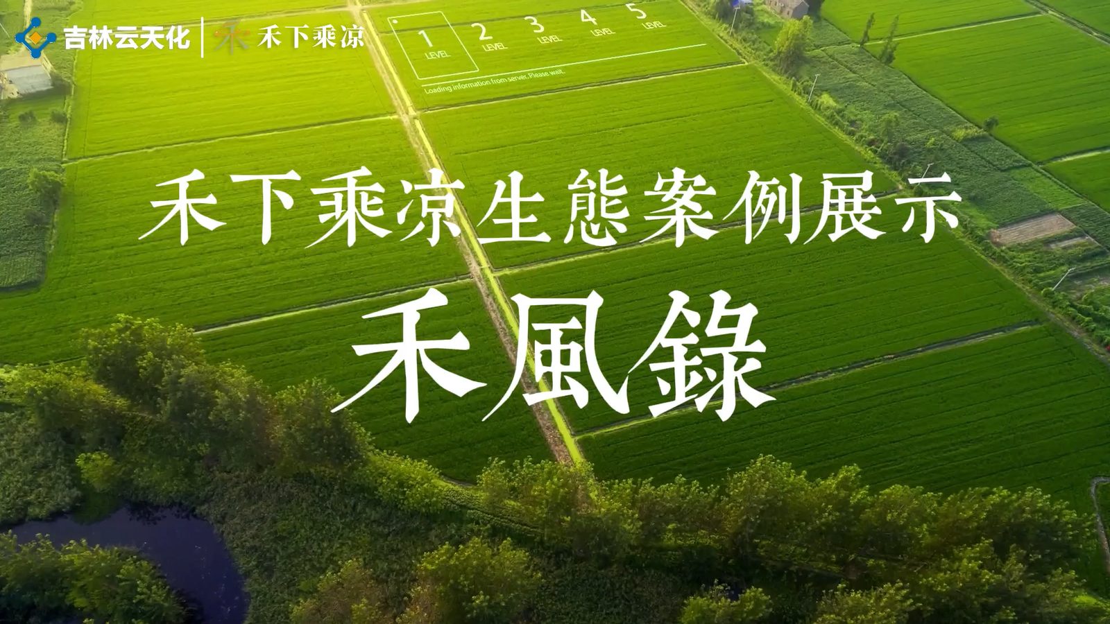 禾风录