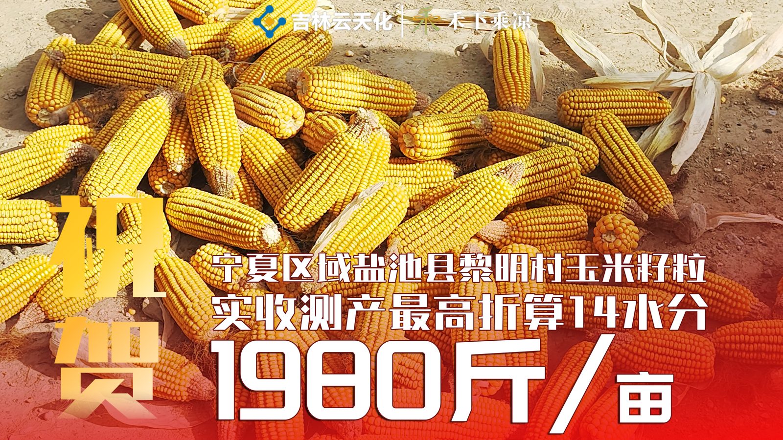 盐池案例