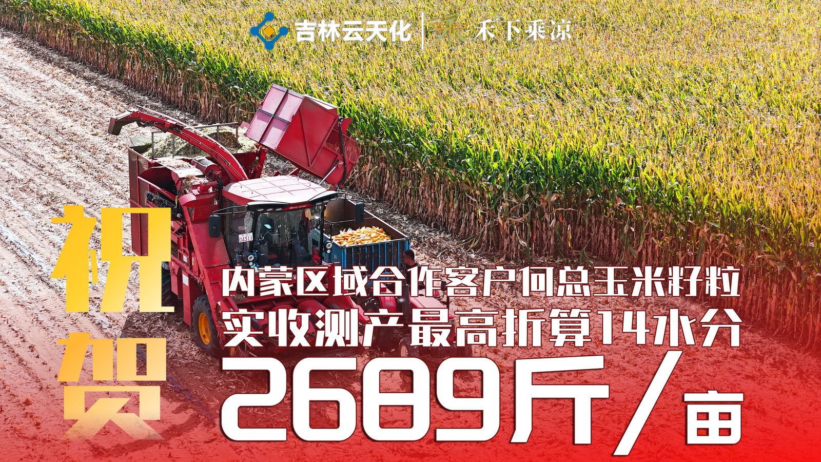 成功案例