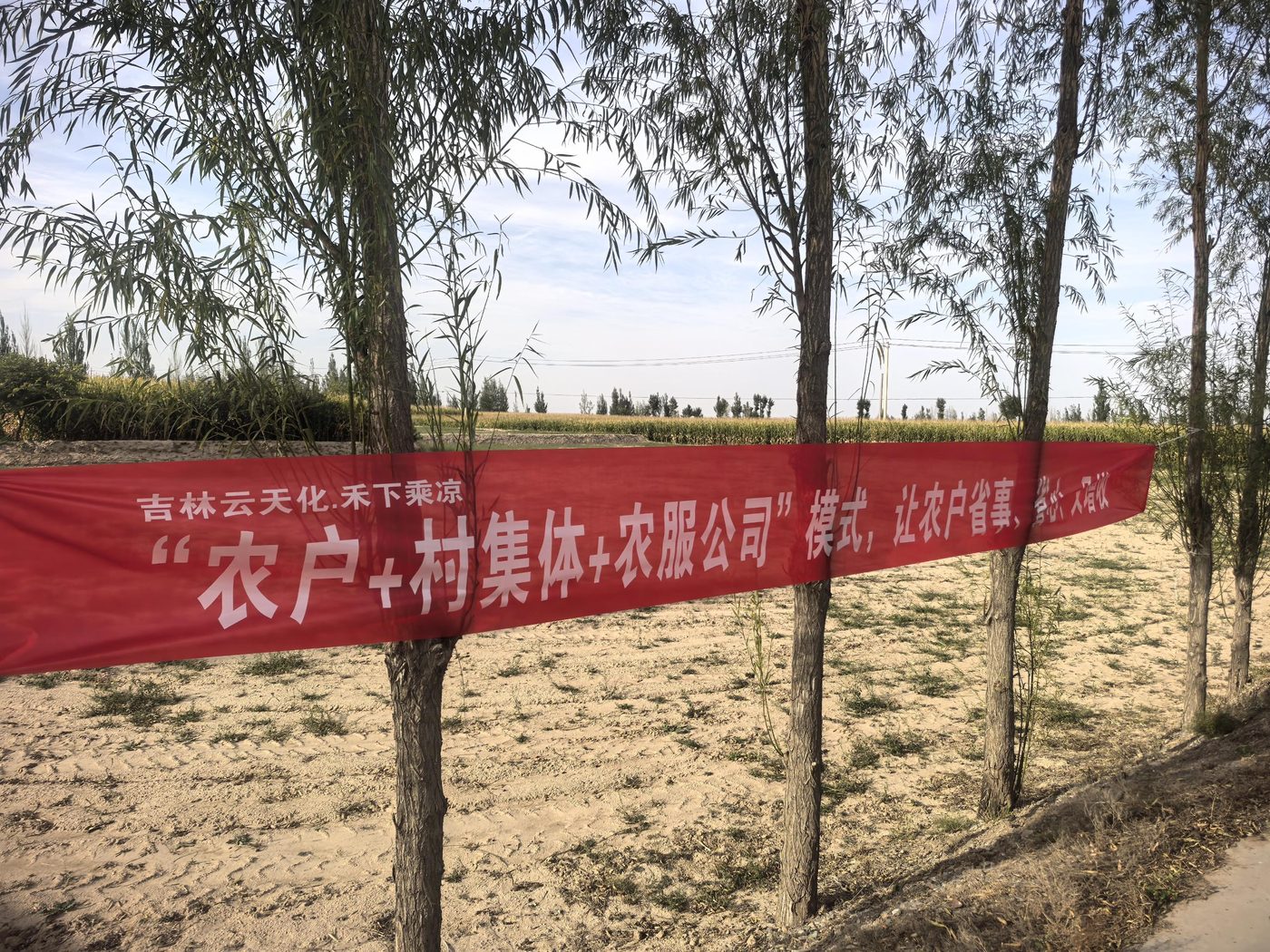 周邦亮 SP 团队