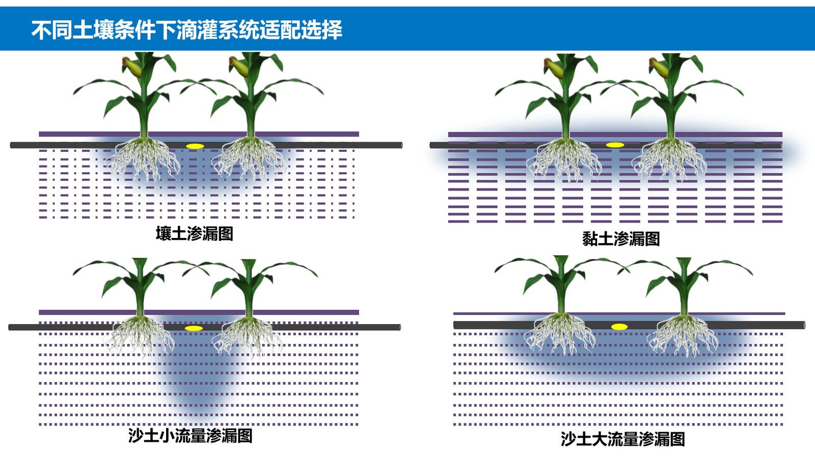 核心技术
