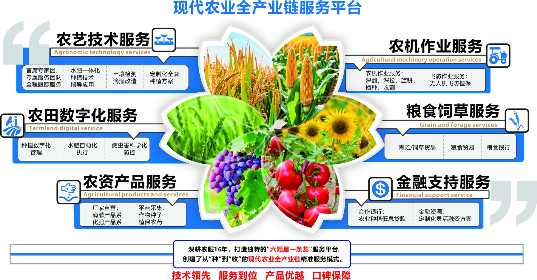 团队合影